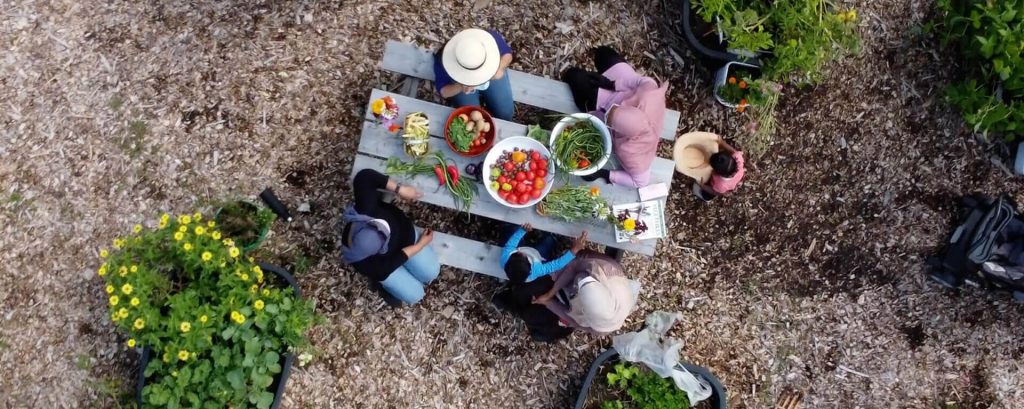 Overhead view of people collecting harvest in community garden at a picnic table with bowls of produce and plants.